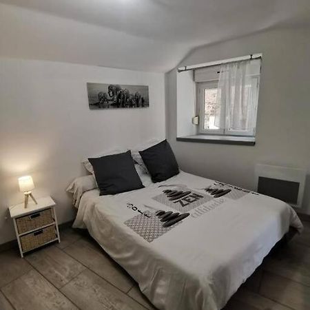 Saint-Georges-de-Luzençon Charmant Appartement Au Calme المظهر الخارجي الصورة