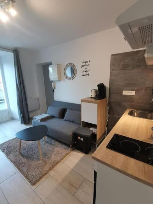 Saint-Georges-de-Luzençon Charmant Appartement Au Calme المظهر الخارجي الصورة