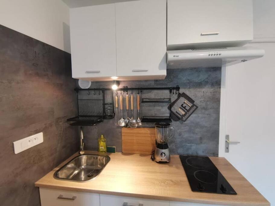 Saint-Georges-de-Luzençon Charmant Appartement Au Calme المظهر الخارجي الصورة