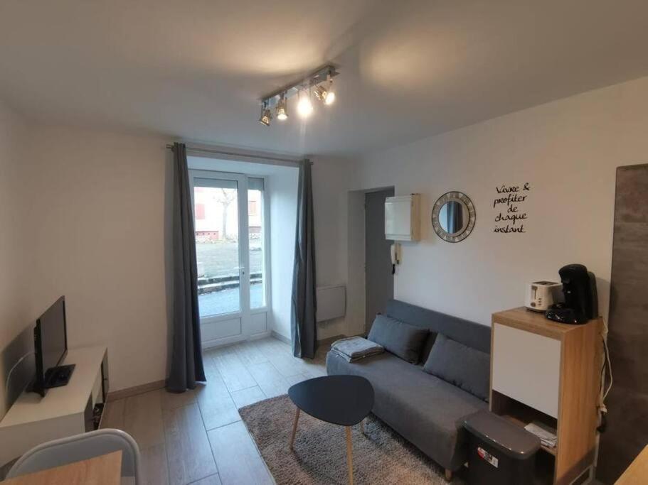 Saint-Georges-de-Luzençon Charmant Appartement Au Calme المظهر الخارجي الصورة